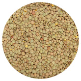 Hampton Distribution green lentils bulk bag - top view, a pantry staple for protein-rich meals.