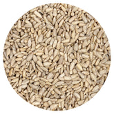 Hampton Distribution raw sunflower seeds in a 1lb bulk bag for a protein-rich snack.