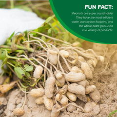 Hampton Farms nutrition highlight with fiber and heart-healthy fats.
