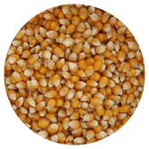 The Hampton Popcorn Company mushroom kernels in a bulk bag for quick, large-batch popping