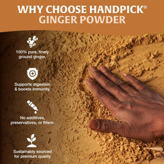 HANDPICK Ginger Powder Indian-origin grains convey authentic cooking notes