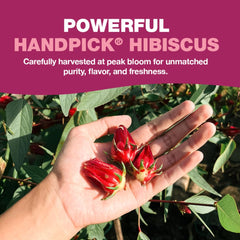 HANDPICK Non-GMO hibiscus tea, caffeine-free and responsibly sourced