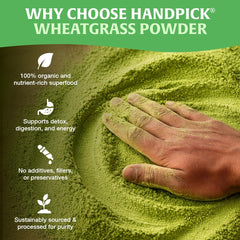 HANDPICK Wheatgrass Powder fine texture with a measuring scoop for precise use