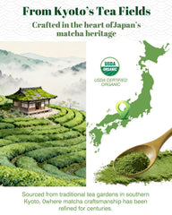 HAYASHIYA ceremonial-grade matcha for bright color and smooth texture