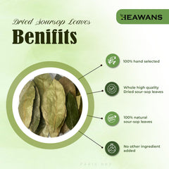 Heawans Soursop leaves from naturally grown trees, harvested with care.
