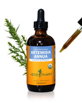 Herb Pharm Artemisia Annua bottle pour demonstrating quick tincture use
