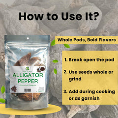 Herb To Body Aframomum melegueta dried pods delivering peppery warmth