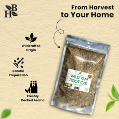 Herb To Body wild yam tea cup ready to sip.