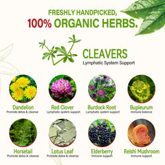 HerbOLITHIC Cleavers tea package detail highlighting pure herbal blend for detox support.