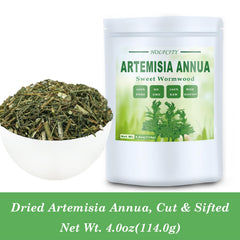 HOLFLYING Artemisia Annua hand-selected leaves for premium herbal preparations.
