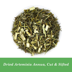 HOLFLYING Artemisia Annua sun-dried leaves preserving aroma and texture.
