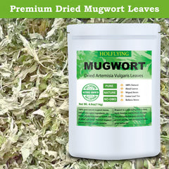 HOLFLYING mugwort leaves antioxidants closeup highlights natural plant power.