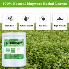 HOLFLYING mugwort leaves pouch open showcases premium loose leaves for brewing.