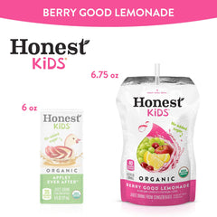 Honest Kids 32-pack box display showing convenient multipack.