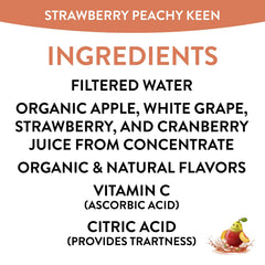 Honest Kids organic juice box with recyclable packaging supports sustainable choices.