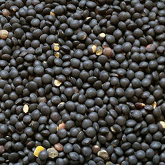 Cooked Hunza Black Beluga Lentils plated as a hearty side dish.