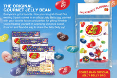 Jelly Belly Pumpkin Pie 3.5 oz bag close-up highlighting chewy texture