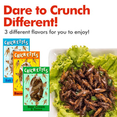 Jerky-n-Spice Crick-ettes Sour Cream & Onion 3-pack crunchy crickets.