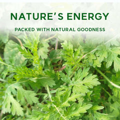 K-Herb mugwort tea brew in cup with earthy aroma.