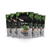 Kale Bros Classic Pack-6 front view showing vibrant kale chips for guilt-free snacking.
