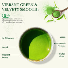 Kanematsu matcha powder close-up reveals vibrant color and texture.