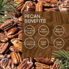 King's Selection pecans ready to eat as a fiber-rich snack.