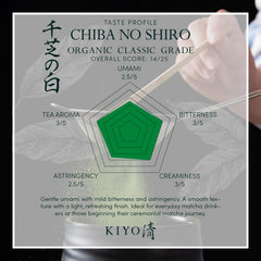 Kiyo Matcha powder jar open reveals vibrant powder ideal for whisked usucha.