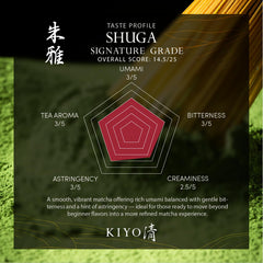 Kiyo Matcha Signature Grade Shuga ceremonial from Uji fields delivers vibrant flavor and quality.