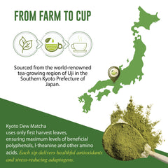 Measuring scoop with Kyoto Dew Matcha powder, ready for tea or latte preparation.