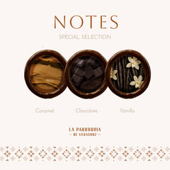 La Parroquia Veracruz instant coffee granules closeup shows fast dissolution and rich aroma.