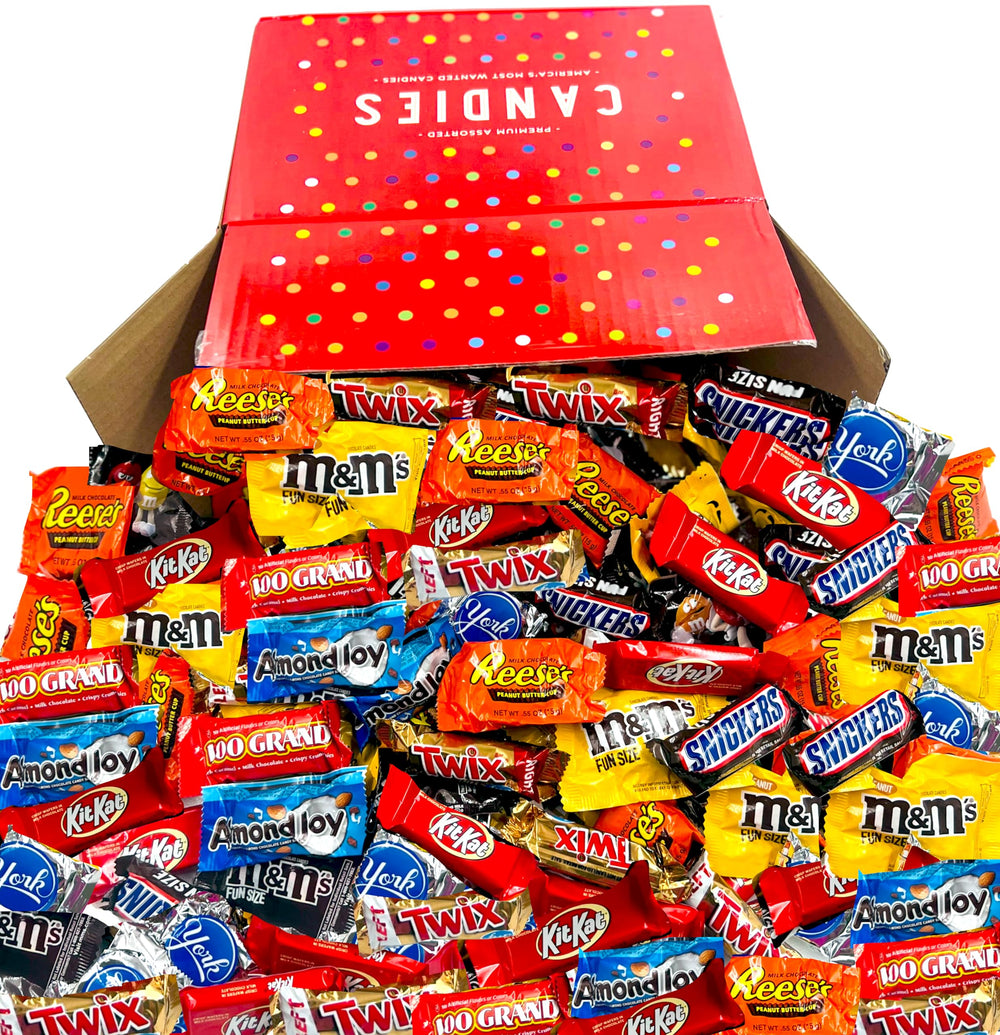 LA Signature all-chocolate variety box with assorted chocolates, perfect for party favors.