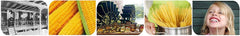 Le Veneziane pasta production in Italy, Veneto region quality