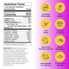 Leisure Hydration Wild Blueberry can closeup highlights bold flavor and natural ingredients.