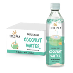 Little Palm coconut water bottle front shows brand and natural hydration.