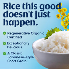 Lundberg Sushi Rice cooked sticky grains ideal for nigiri.