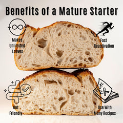 Made With Loave activation with flour and water demonstrates quick rehydration.