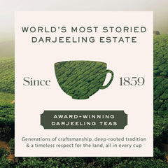Makaibari Himalayan Spring cup during steeping shows a light, clear infusion color.