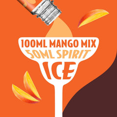 Master of Mixes Alphonso mango close-up highlighting premium fruit quality.