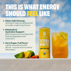 Mateina Yerba Mate Zero Sugar can label closeup highlights organic, pure ingredients