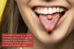 mberry miracle berry tablets on a spoon showing pure ingredients.