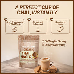 MEGAPLANTS Chai Magic ingredients with organic mushrooms and spices