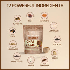 MEGAPLANTS Chai Magic scoop in pack for precise serving