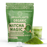 MEGAPLANTS Mushroom Matcha Magic packshot showing premium ceremonial matcha blend