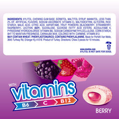 Mentos Vitamins Berry gum dispense bottle keeps 45 pieces handy.