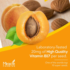 Non-GMO Miracle Farming apricot seeds offer pesticide free natural nutrients.
