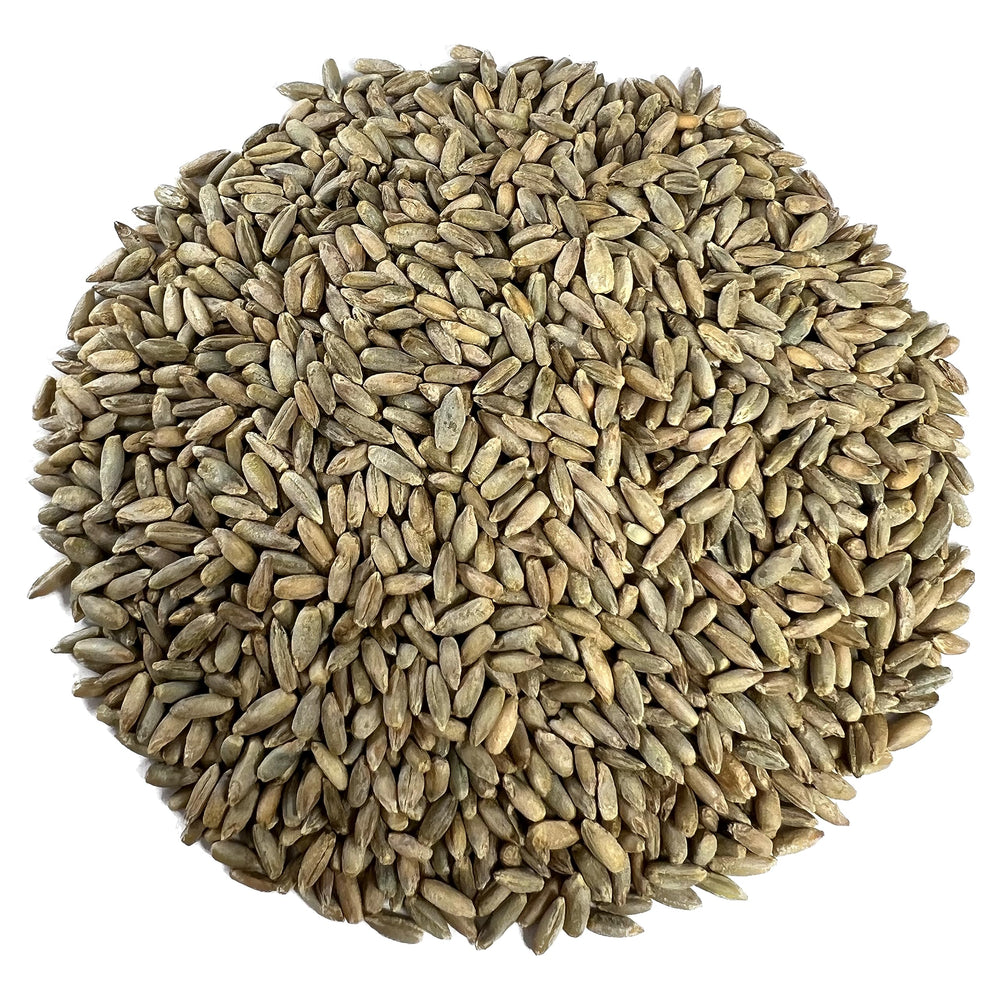 Myco Buddy Organic Rye Berries bulk bag ready for baking and storage.