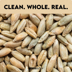 Myco Buddy rye berries in a bowl add nutty flavor and chewy texture