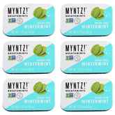 MYNTZ Wintermynt Blast front of pack shows sugar-free breath mints with mouth acid neutralizing benefits.