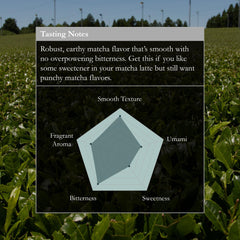 Naoki Matcha Barista Blend stone-ground tencha process close-up shows freshness