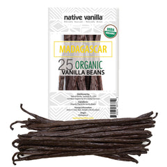 Native Vanilla Madagascar vanilla beans closeup showing rich seeds for baking